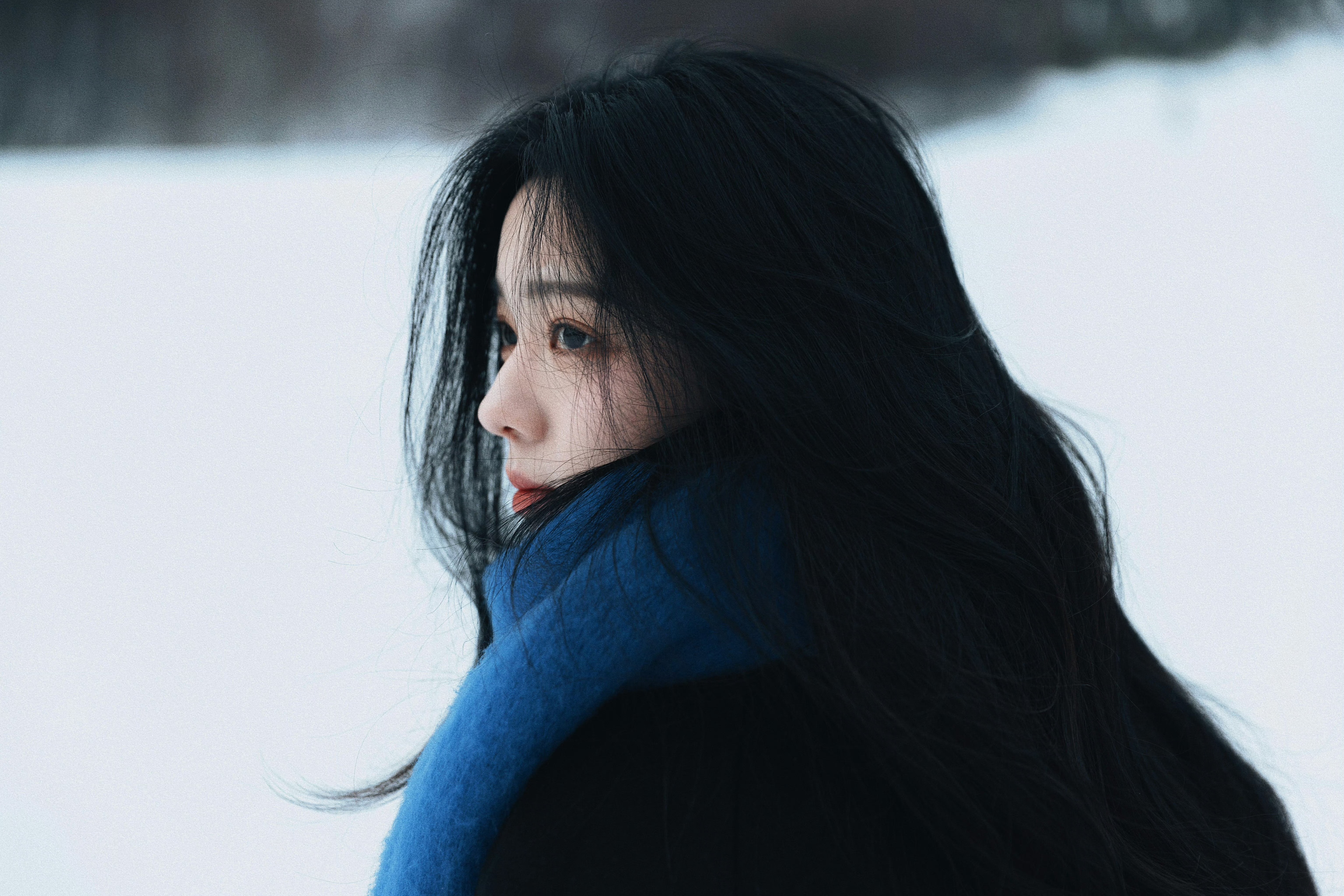 影集